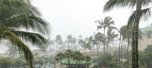 Blog 08.2020 Hurricane